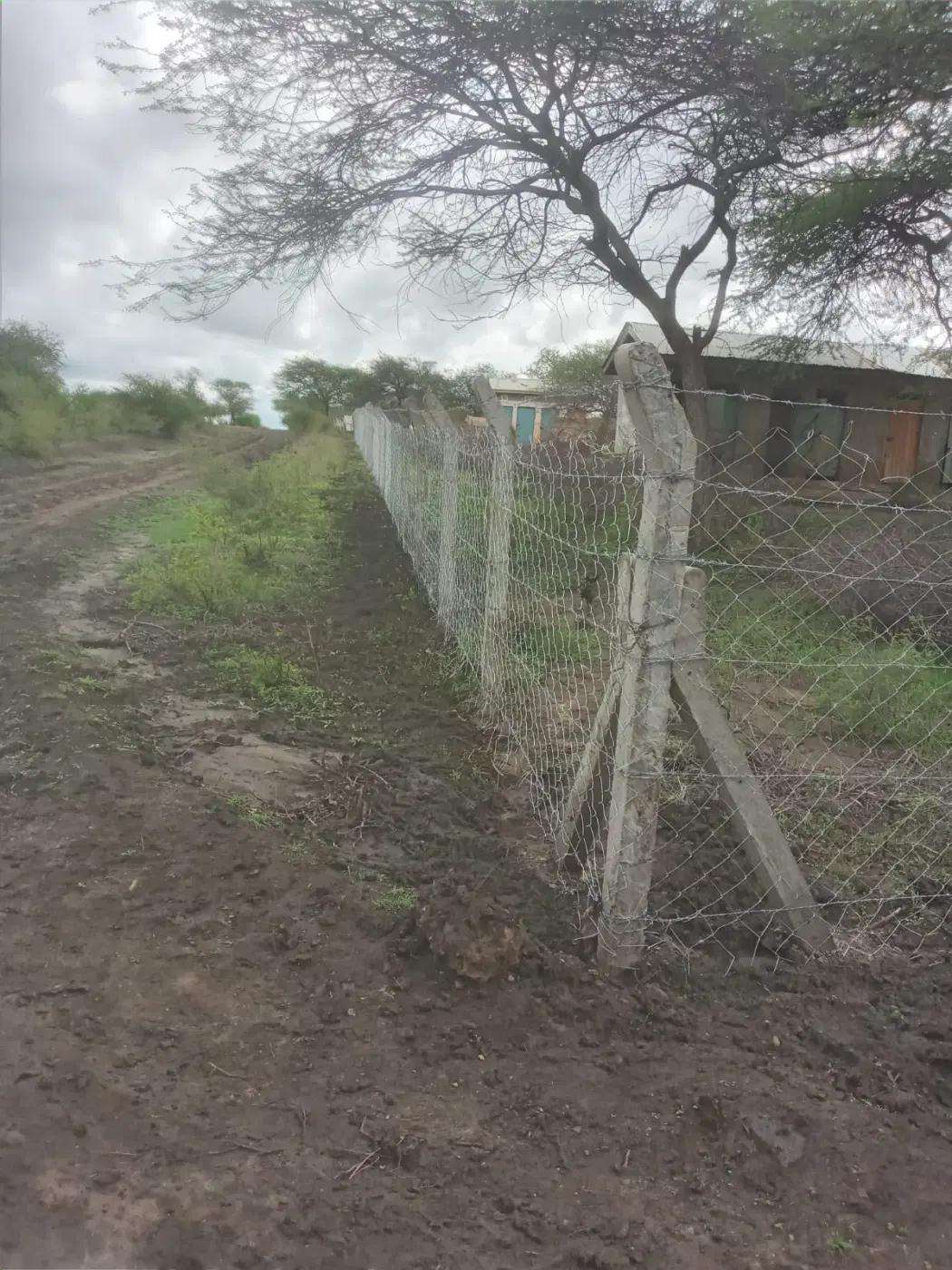 A section of the school boundary fence under inspection.