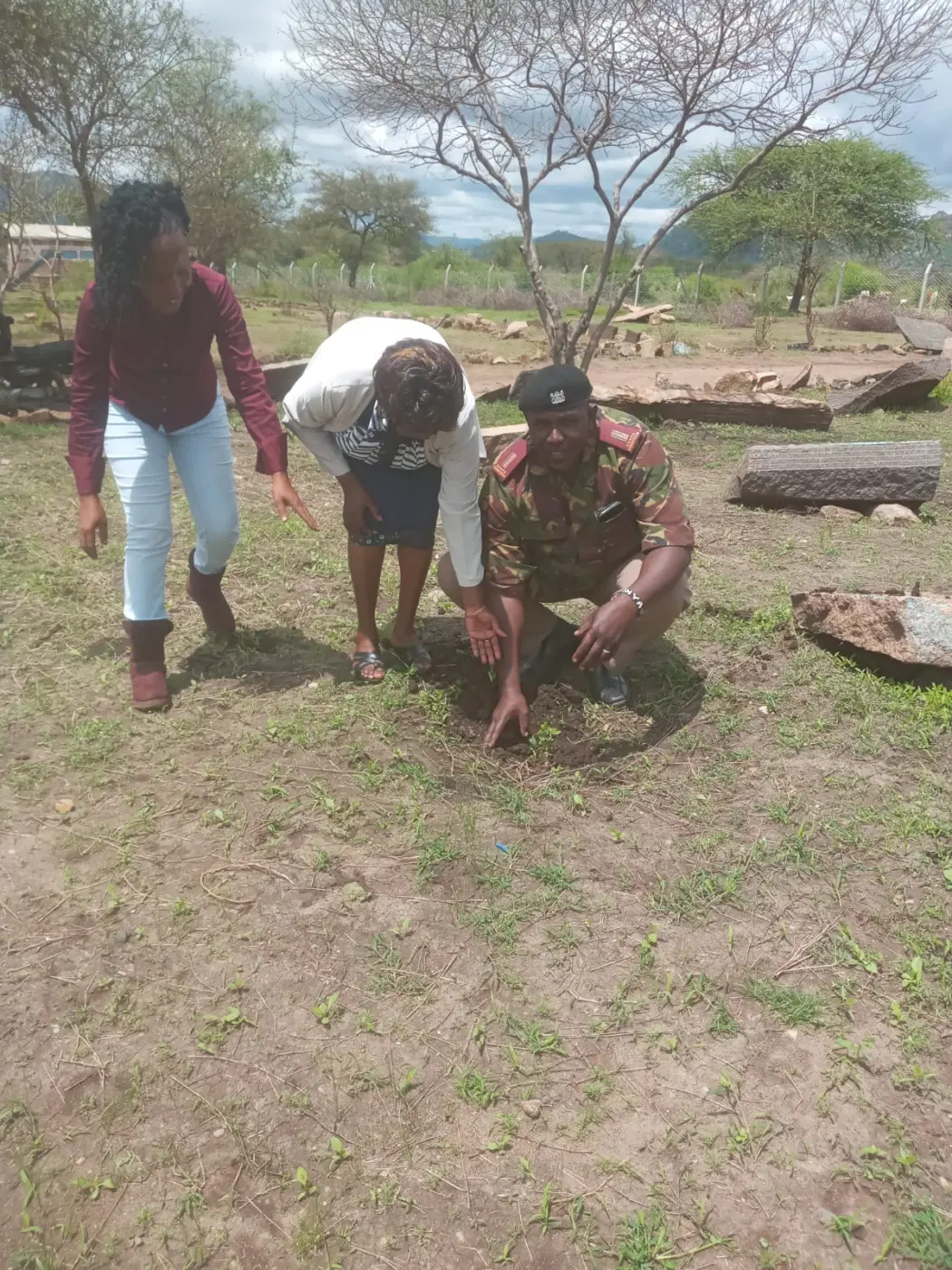 Community members work together to plant trees.