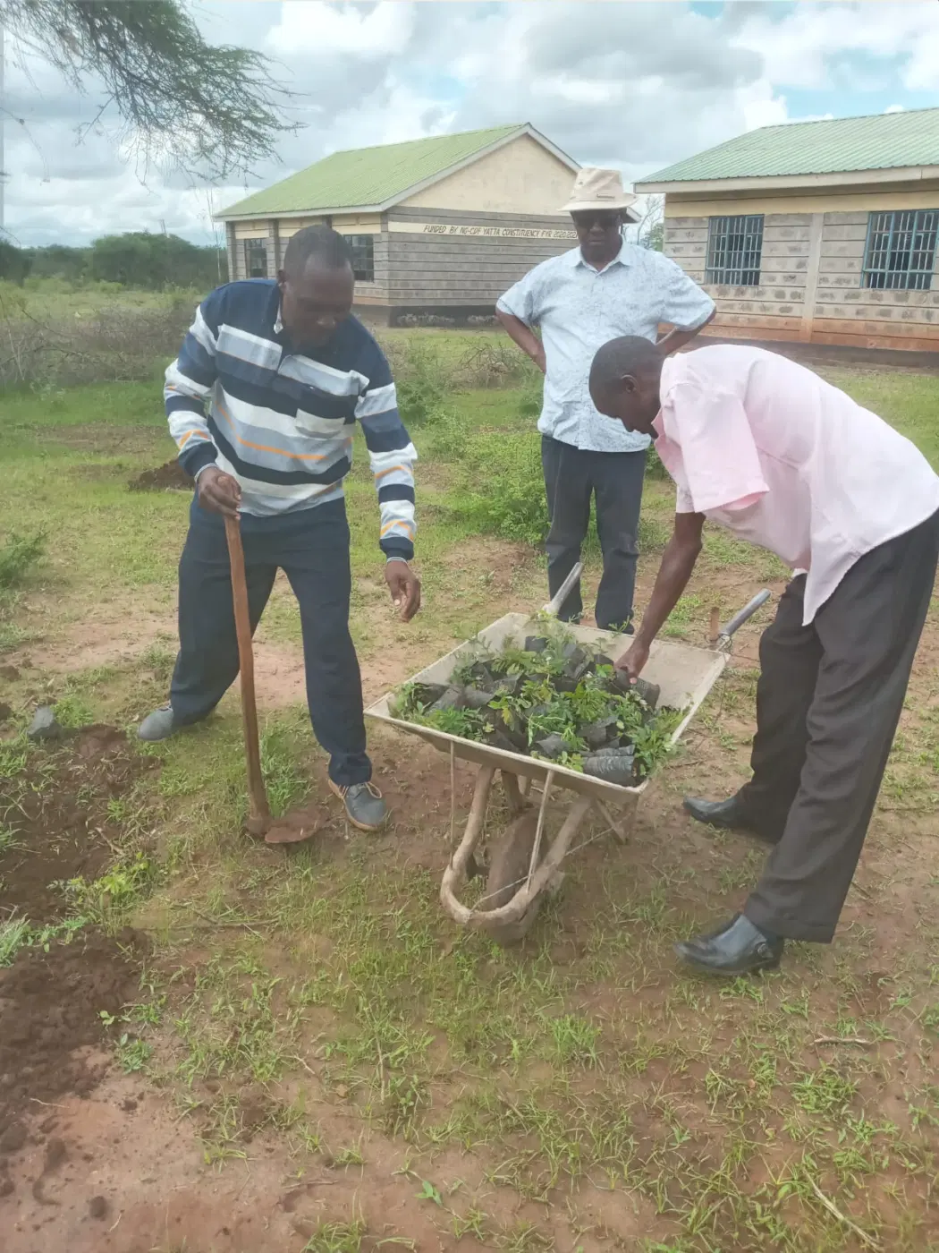Seedlings are moved into place for planting.
